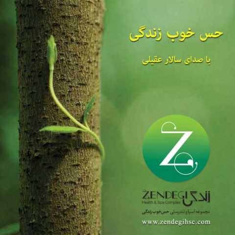 دانلود آهنگ جدید سالار عقیلی حس خوب زندگی