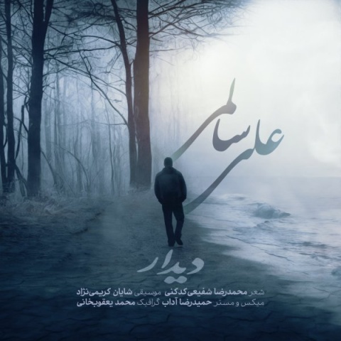 دانلود آهنگ جدید علی سالمی دیدار