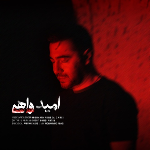 دانلود آهنگ جدید محمدرضا زارعی امید واهی