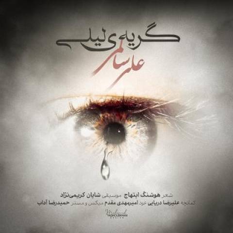 دانلود آهنگ جدید علی سالمی گریه ی لیلی