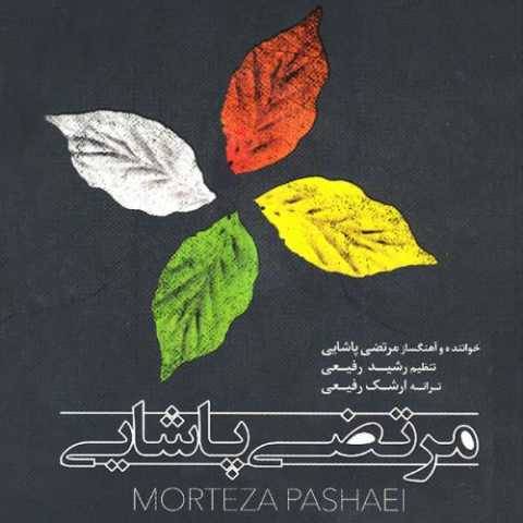 دانلود آهنگ جدید مرتضی پاشایی پرنده