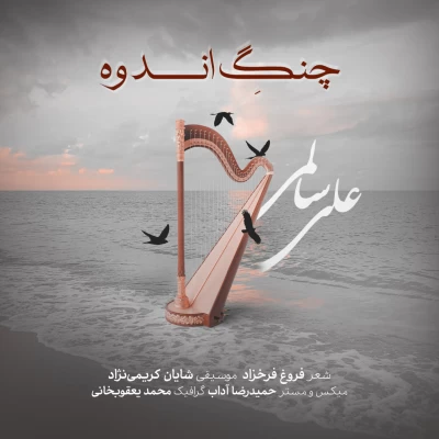 دانلود آهنگ جدید علی سالمی چنگ اندوه