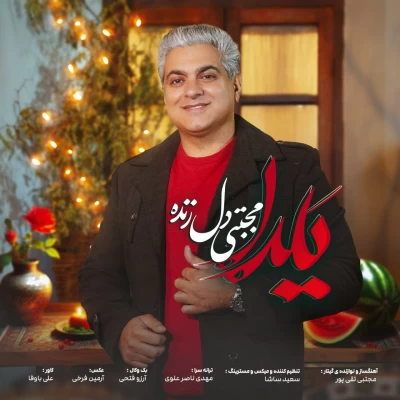 دانلود آهنگ جدید مجتبی دل زنده یلدا
