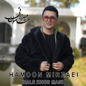 دانلود آهنگ هامون میرزائی حال خوب منی