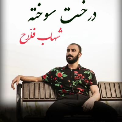 دانلود آهنگ جدید شهاب فلاح درخت سوخته