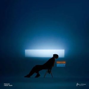 دانلود آهنگ مهیار مودی