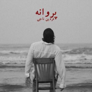 دانلود آهنگ فردین ناجی پروانه