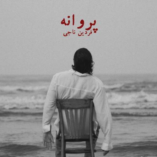 دانلود آهنگ جدید فردین ناجی پروانه